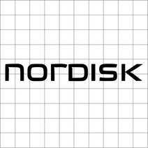 노르디스크 레터링 글씨 NORDISK 캠핑스티커 곰 로고 데칼 차량스티커 방수, 10cm x 1.3cm, 홀로그램