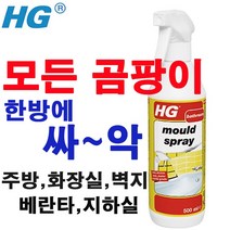 mould spray(곰팡이제거제)500ml 벽지곰팡이제거제 벽곰팡이제거제 지하실화장실곰팡이제거제 벽곰팡이제거제 베란다곰팡이제거제 욕실곰팡이제거제 욕실화장실청소세제