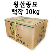 친환경마켓 왕산종묘 백작 10kg 쪄먹는 분감자 씨감자 햇감자 포슬포슬 강원도 감자, 왕산종묘 백작10kg