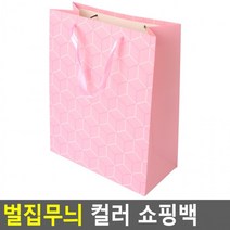 벌집무늬 컬러 쇼핑백(대) 종이백 선물케이스