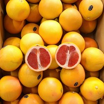 특별행사 실속 남아공 레드자몽 15kg내외