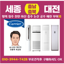 캐리어 CPV-Q167SB 스탠드 냉난방기 업소용 가정용 16평 세종 계룡 공주 옥천설치