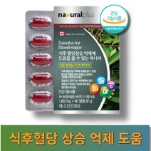 네추럴플러스 혈당조절 혈당엔 바나바잎 추출물 영양제 1450mg x 60정, 1개, 1개