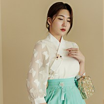 특별함을 갖춘 생활한복을 더한 퓨전 의상 상의 나비 저고리