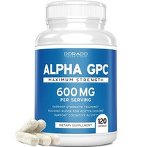 Alpha GPC 아세틸콜린용 콜린 뇌 보충제 (120개 - 600mg 분량) - 기억력 포뮬러 집중력 및 뇌 지원 보충제 - 미국 제조 - GMO 프리 및 비건 - 남성 및 여