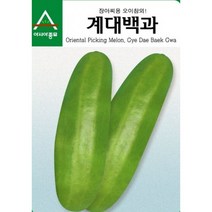 (씨앗) 계대백과 - 울외 - 우레 - 장아찌용 오이참외 김치참외 씨앗 종자 - 400립