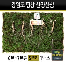 산양삼 선물세트 강원도 평창 야생삼 장뇌삼 7년근 10년근 동인발효삼 선물용 효도선물, 2set