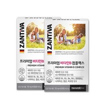 활력 비타민B 복합체 컴플렉스 비타민B군 영양제 비타민비군 2통