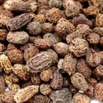 말린 다래열매 미후도 키위열매 말린것 건재 600g