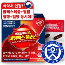 연세 세브란스케어 블러드케어 X5 써큐맥스 플러스, 1box, 60캡슐