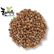 햇싹원 개량메주 개량메주가루, 개량메주 1kgX20개 (수입), 1개, 1kg