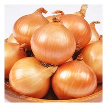 [푸르젠] [선별배송] 23년산 햇양파 10kg(장아찌용 100g 미만), 상세 설명 참조, 상세 설명 참조