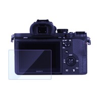 2개/몫 스크린 A6300 A99 A77 A7III A7rM3 RX10 WX350 Ax100e Axp55, 02 A7rm2 A7sm2 RX1 RX1r