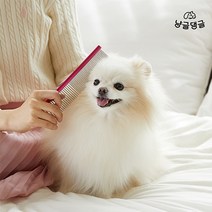 냥글댕글 반려동물 알루미늄 듀얼 스트레이트 브러쉬 K10 _ 강아지 고양이 죽은털제거, 1개, 냥글댕글 스트레이트 브러쉬_골드
