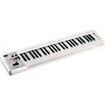 ROLAND 롤랜드 미디 건반 컨트롤러 A-49