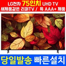 LG 75인치TV 4K UHD 75UP8000 신품같은 리퍼TV, 5. 지방 벽걸이 설치