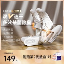 휴대용 신발 살균건조기 슈즈 소독기 장화 슈드레서 글러브 스타일러 부츠 안전화 관리기 기계 말리는, 기본