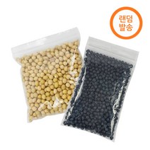 국산 콩나물콩 100g 유태/흑태 콩나물재배 콩나물시루콩 (랜덤)