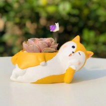 ROOGO 루고 화분 행복한 동물 일기 여우