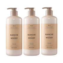 아모레퍼시픽 미쟝센 스킨케어 퍼퓸 트리트먼트 블랑쉬앤우디향 900ml, 3개