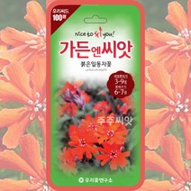 애기동자꽃 씨앗 붉은잎동자 종자 100립 다년생 월동 꽃씨 몰 리치니스 봄 여름 가을, 단품