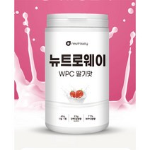 WPC 농축유청단백질 유청단백질분말 WPC 프로틴 단백질 600g 딸기