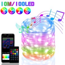결혼식 방명록 신제품 RGB IC 크리스마스 트리 요정 조명 음악 리듬 LED 스트링 라이트 스마트 앱 방수, 02 10M 100Lights