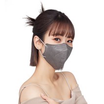 더맑은 참 황사방역마스크(KF94)(대형)(회색), 100개