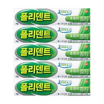 글락소스미스클라인 후레쉬 민트 의치 부착재 70g 수인12-678호, 1개, 5개
