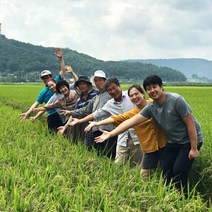 [마을기업] 친환경 무농약 8종쌀, 1팩, 무농약 오색건강쌀 2kg