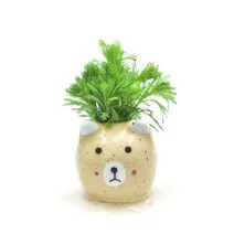 [바보사랑] 수초-노란곰 포트 물수세미-귀여운 수족관 꾸미기, 상세 설명 참조, 상세 설명 참조