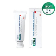 GUM 검 치과 치주질환 덴탈겔 저자극 시린이 치약65g SE 2개, 없음