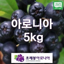 유기농 자연초생재배 초례봉아로니아냉동생과열매 상급 5kg / 농장 직배송