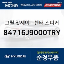코나/전기차 센터 스피커 그릴(색상 블랙) (84716J9000TRY) 코나 하이브리드 코나N 코나 전기차 더뉴 코나