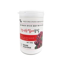 천년초 선식 줄기열매분말 200g 500g 각3종/ 간편식 식사대용 슈퍼푸드 장건강, 천연초 열매분말 500g