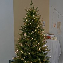 포레스트그린 무장식트리 160cm(트리보관가방포함), 단품