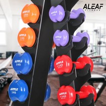 아리프 애플덤벨 1kg 2개 세트 아령 홈트 홈짐 헬스