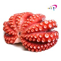 새우몰 제수용 자숙문어 1마리 700 - 990g 모리타니아, 1개