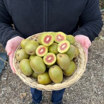 국내산 제주 제철 고당도 레드키위 홍다래 속빨간 홍키위 3kg 5kg, 레드키위 대과 5kg