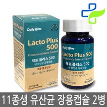 데일리원 락토 플러스 500 60캡슐X2개, 60캡슐, 2개