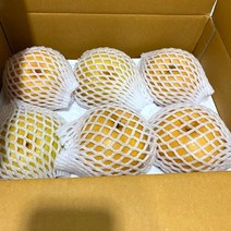 나주배 국내산 3kg 배즙용 양념용 못난이 실속형 과즙 풍부 배 Pear, 가정용 3kg, 1개