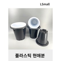 플라스틱 현애분, 7호 블랙