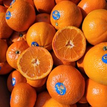 고당도 만다린 프리미엄 감귤, 3kg (30~39과), 1개