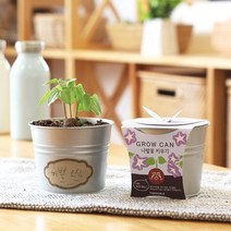 틔움세상 화분재배키트 그로우캔 시리즈 씨앗 키우기채소밭 텃밭 화분 재배 미니정원 정원 아파트 베란다 옥상 마당 모종 유기농 친환경 어린아이 학습 가든 가드닝 씨앗 그로우캔 씨앗키우기, 스위트바질