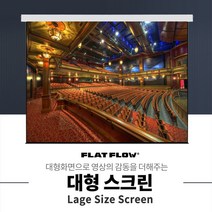 플랏플로우 F-MS250 250인치 국산 대형 매립형 전동 스크린 빔스크린, 매립형 250인치+유선스위치