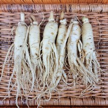 6년근 풍기 인삼 세척 수삼 인삼, 1kg, 1개