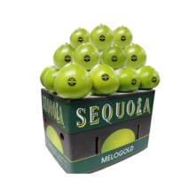 청자몽 메로골드 비타민 C와 미네랄 겨울철 감기 예방 에이드 신선식품 개당 중량의 차이 생물인 관계, 단일