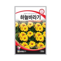 모칸도 (무배)세계 하늘바라기 꽃씨 100립