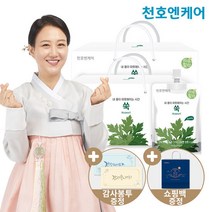 [천호엔케어] 하루활력 쑥 70ml 30팩 2박스, 단품, 단품