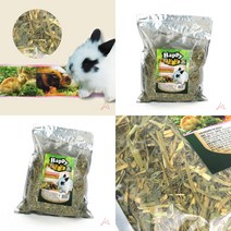 유디씨티 해피알파파 500G 건초 단미사료 기니피그밥 기니피그건초알파파